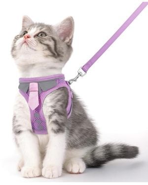 Aronkl Escape Proof Cat Harness Leash Set Soft Adjustable Breathable Mesh Reflective Strips For Kitten Puppy Bunny - White