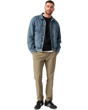 Levi's Standard Tapered Style Flex-tech Chino Pants - Blue