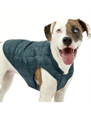 Aronkl Loft Dog Jacket: Insulated - Blue