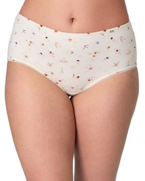 Bali Lux Cotton Essentials Hipster Underwear Dflehp - Multicolor