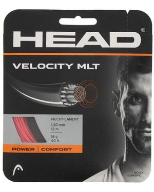 Head Velocity Mlt 16g Tennis String - Black