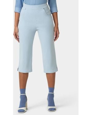 Hue Spring Stripe Pedal Pusher - Blue