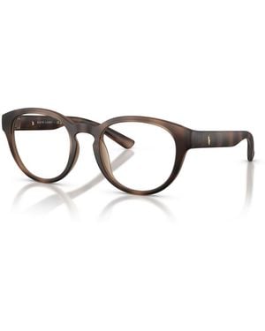 Polo Ralph Lauren Panthos Eyeglasses - Brown