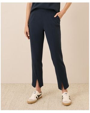 Pact Airplane Tapered Leg Pant - Blue