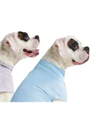 Aronkl Uv Protection Spf 30 Breathable Quick Dry Dog T Shirt - Blue