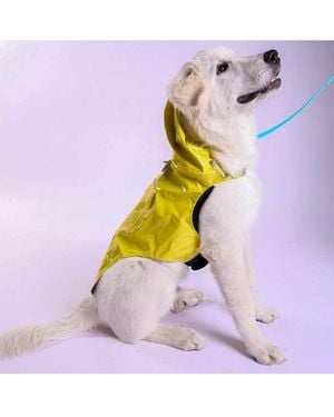 Tommy Bahama Pet Raincoat & Apparel Harness - Purple