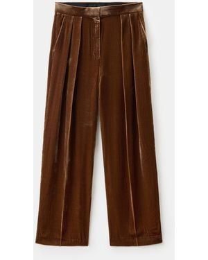 Mango Velvet Suit Pants - Brown