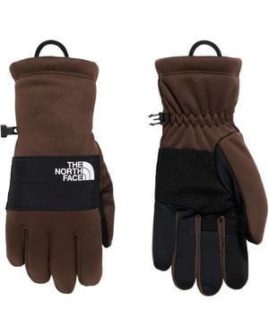 The North Face Sierra Etip Winter Touchscreen Gloves - Brown