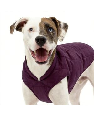 Aronkl Loft Dog Jacket: Insulated - Purple