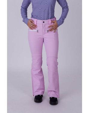 OOSC Chic Pants - Purple