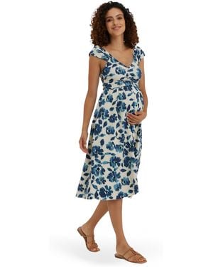 Nom Maternity Maternity Cheri Dress - Blue