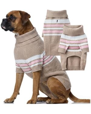 Pet Passion Rugby The Bold Stripe Sweater - Multicolor