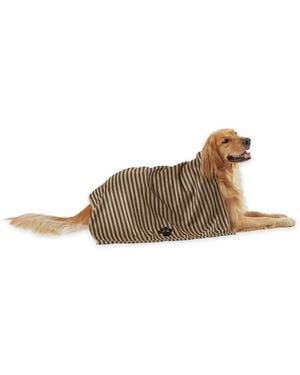 Aronkl Absorbent Microfiber Pet Towel Ultra Soft Machine Washable Lightweight Durable For Dogs Cats Grooming Travel - Multicolor