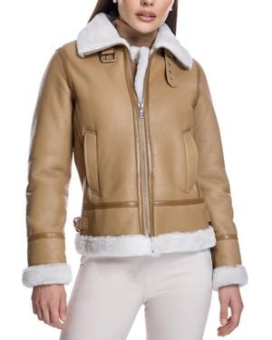 Julia & Stella By Maximilian Shearling Aviator Jacket - Brown