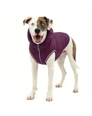 Aronkl Loft Dog Jacket: Insulated - Purple