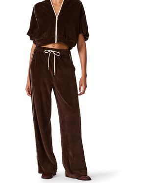 Steve Madden Velour Wide-leg Pull-on Track Pants - Brown