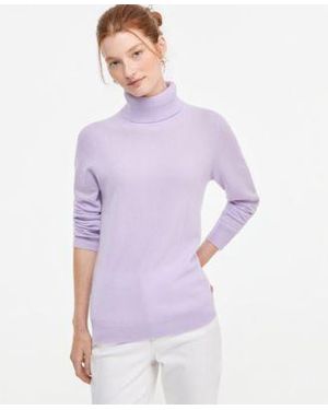 Charter Club 100 Cashmere Turtleneck Sweater Pxs Xxl Macys Exclusive - Purple