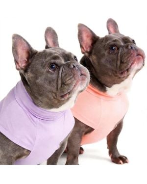 Aronkl Uv Protection Spf 30 Breathable Quick Dry Dog T Shirt - Brown