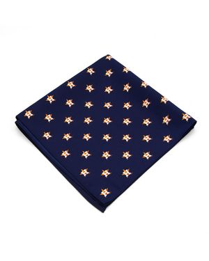 Eagles Wings Houston Astros Kerchief Pocket Square - Blue