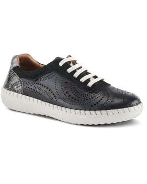 Spring Step Jumilla Lace-up - Black