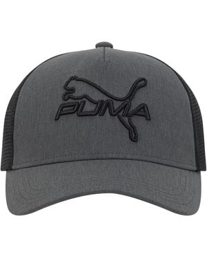 PUMA 3d Embroidered Logo Cap - Gray