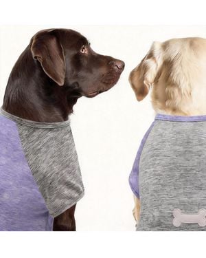 Aronkl 2-pack Lightweight Athletic Dog T-shirt - Multicolor