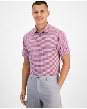 PGA TOUR Heathered Stripe Golf Polo Shirt - Purple