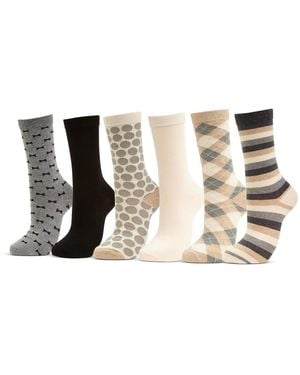 Mio Marino Dress Crew Socks 6 Pack - Black