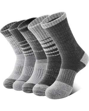 Peneyon Merino Wool-blend Cushioned Crew Socks - Gray