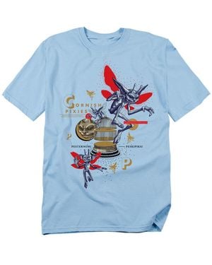 Harry Potter Cornish Pixies Making Mischief T Shirt - Blue