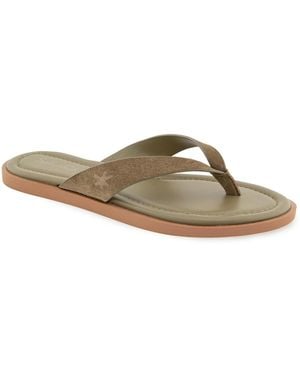Splendid Ravi Flip-flop Sandal - Brown