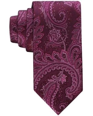 Macy's Lucia Paisley Tie - Purple