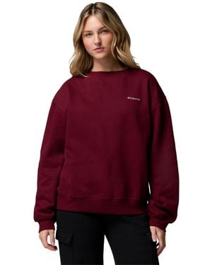 Columbia Aldermore Crewneck Long-sleeve Sweatshirt - Red