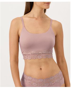 Pact Lace Modern Scoop Bralette - Purple