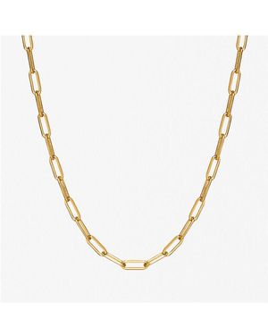 Ana Luisa Link Chain Necklace - Black