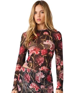 Steve Madden Sandy Sheer Mesh Floral T-shirt - Red
