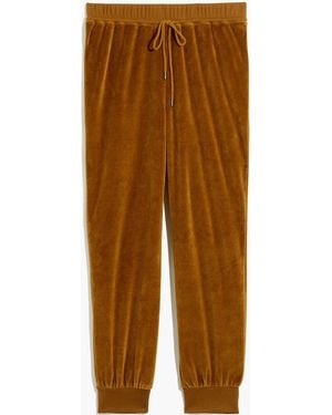 MW L Velour Slim Joggers - Brown