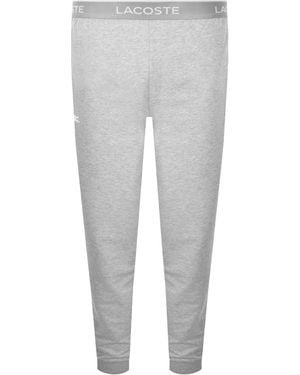 Lacoste Loungewear Sweatpants - Gray