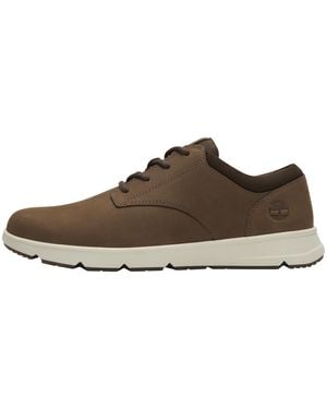 Timberland Parker Street Low Lace Trainers - Brown