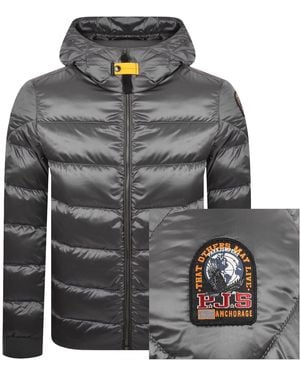 Parajumpers Pharrell Jacket - Gray