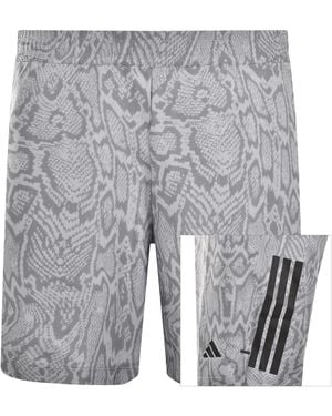 adidas Dt4 Primelift Shorts - Gray