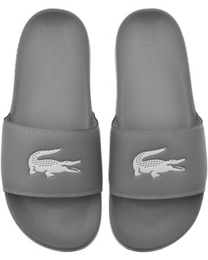 Lacoste Serve Sliders - Gray