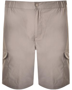 Berghaus Kirkfell Cargo Shorts - Grey