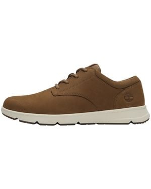 Timberland Parker Street Low Lace Trainers - Brown