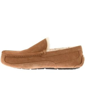 UGG Ascot Slippers Chestnut - Brown