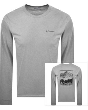 Columbia Seasonal Logo T Shirt - Grey