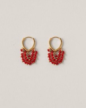 Malababa Pepita - Rojo