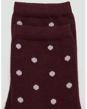 Mango Polka Dot Socks - Purple