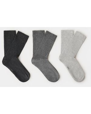 Mango Pack Of 3 Cotton Socks - Gray