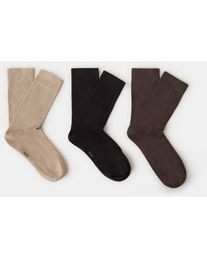 Mango Pack Of 3 Cotton Socks - Black